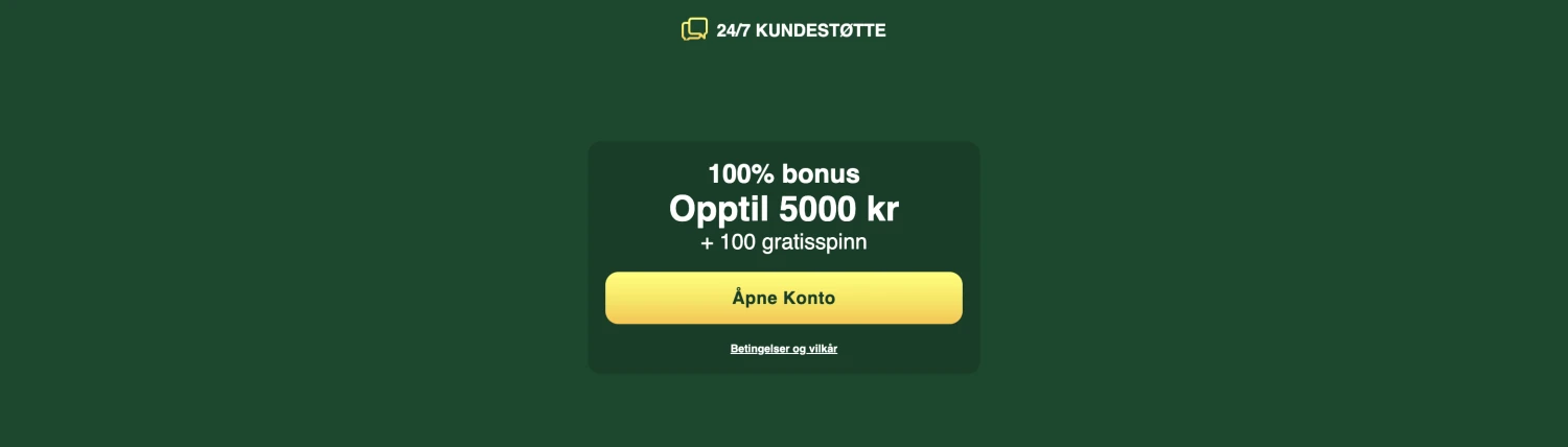 Promotional Banner